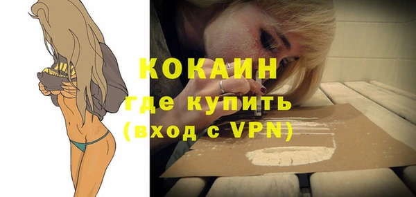 крисы Верхний Тагил