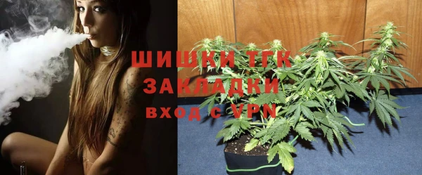 твердый Верея